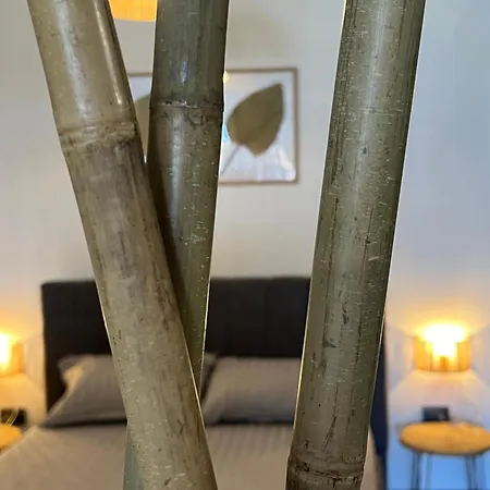 Apartman & Traky, Saint Vlas, улица черно море 12 *