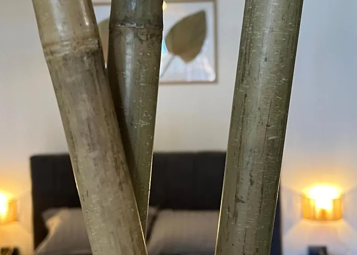 Апартамент & Traky, Saint Vlas, улица черно море 12 *